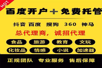 百度竞价广告的成功之路：企业运营案例集